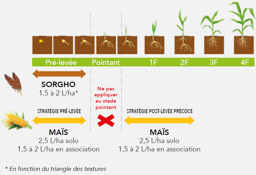 Positionnement Alcance