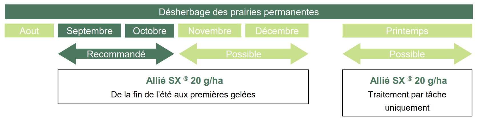 Positionnement Allié SX