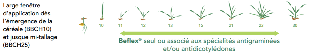 Positionnement Belfex