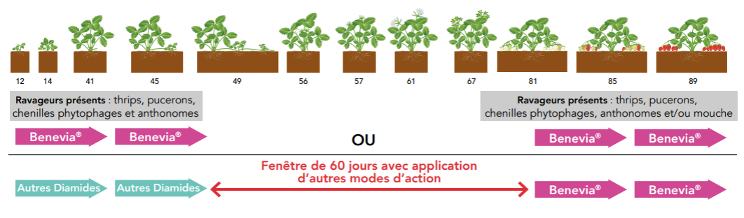Positionnement Benevia
