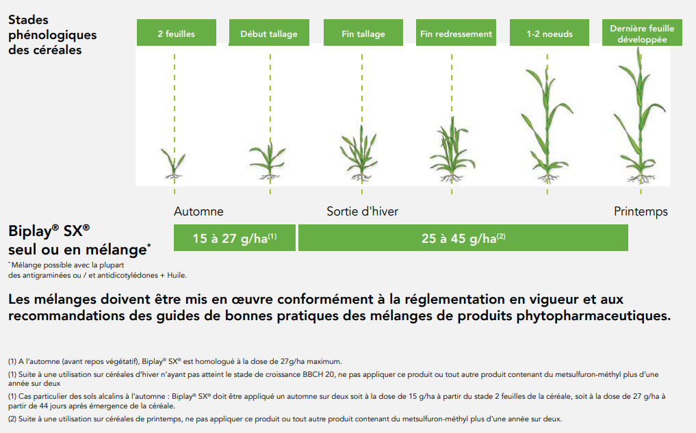 Positionnement Biplay SX