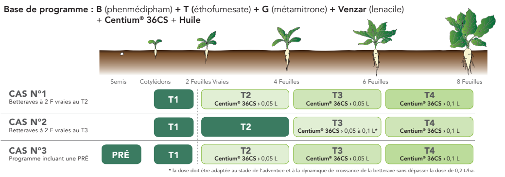Positionnement Centium Betterave