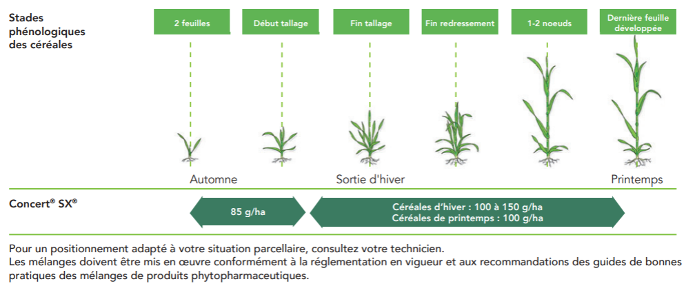 Positionnement Concert SX