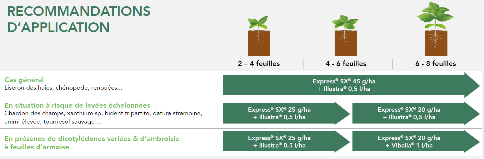 Positionnement Express SX