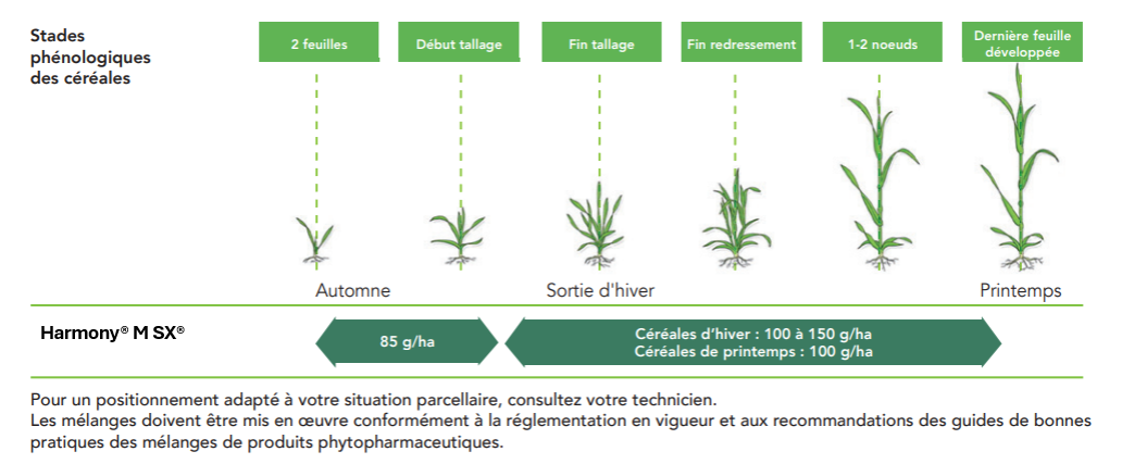 Positionnement Harmony M SX