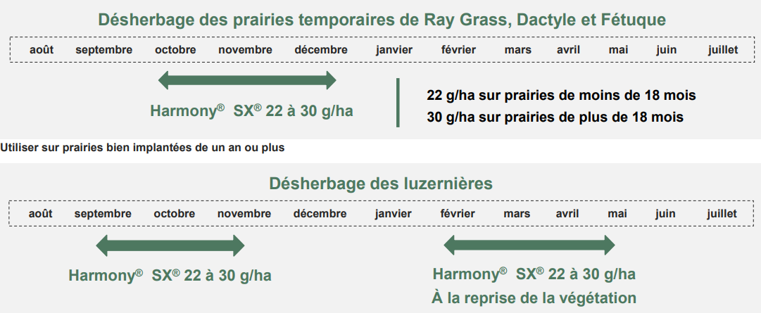 Positionnement Harmony SX