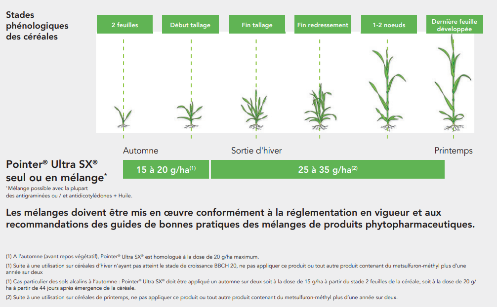 Positionnement Pointer Ultra SX