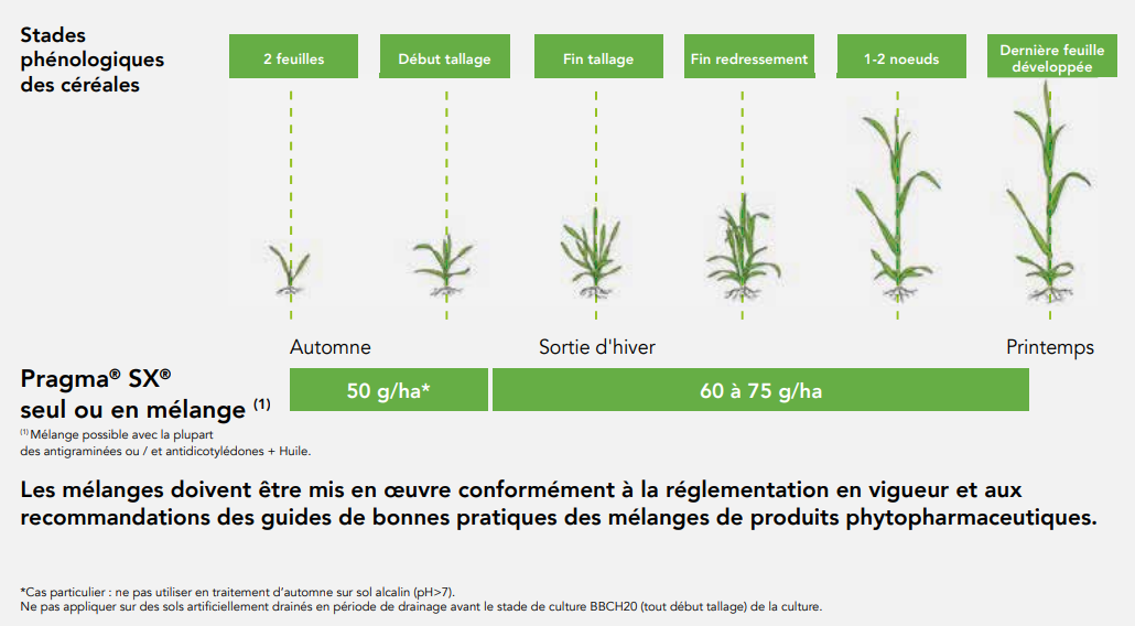 Positionnement Pragma SX