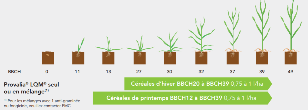 Positionnement Provalia LQM