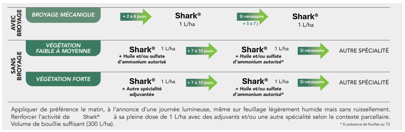 Positionnement Shark
