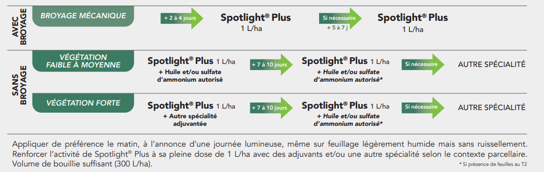 Positionnement SPotlight PDT