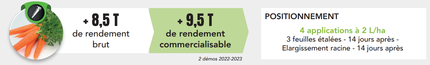 Positionnement Super Fifty Carotte