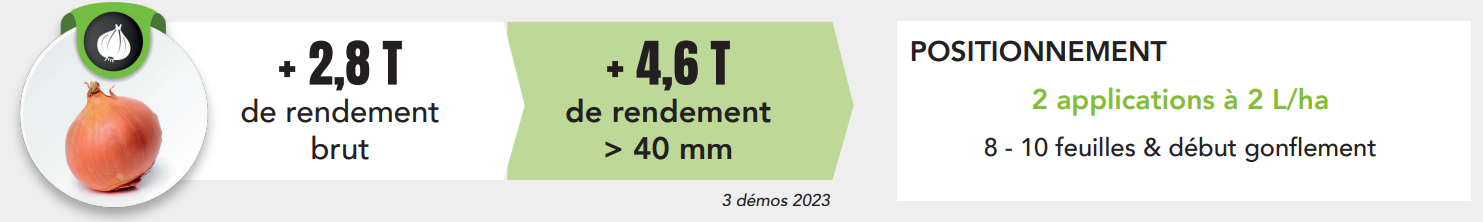 Positionnement Super Fifty Carotte