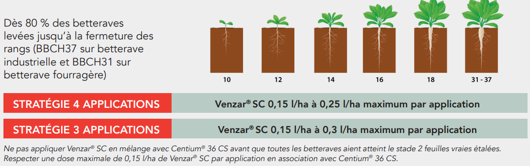 Positionnement Venzar SC