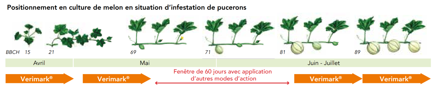 Positionnement Verimark Melon