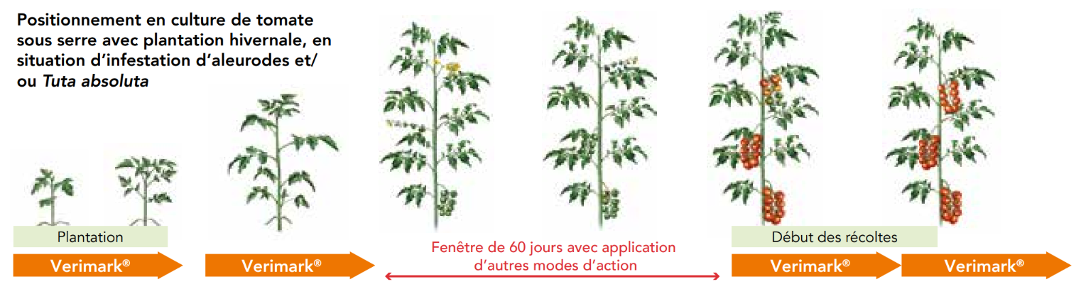 Positionnement Veirmark Tomate