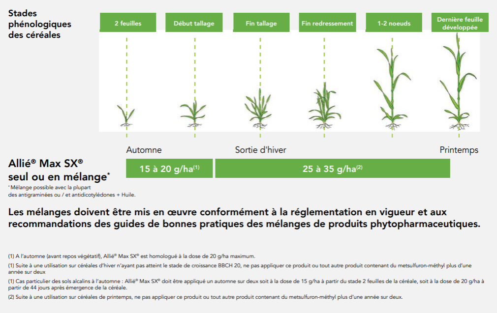Positionnement Allié Max SX