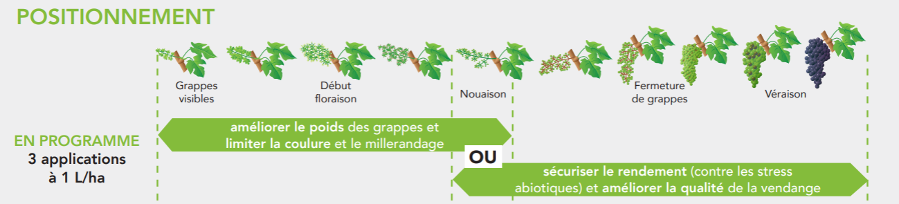 positionnement Seamac Or sur Vigne