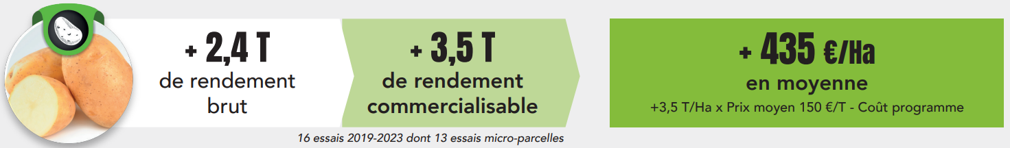 Preuve essais Super Fifty Pomme de terre