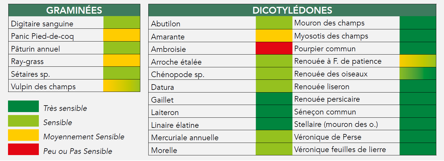 Spectre Alcance