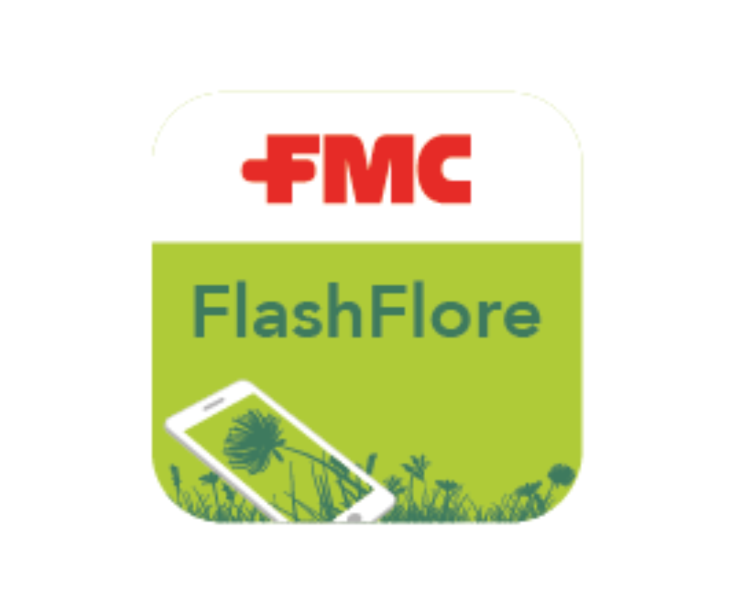 FlashFlore
