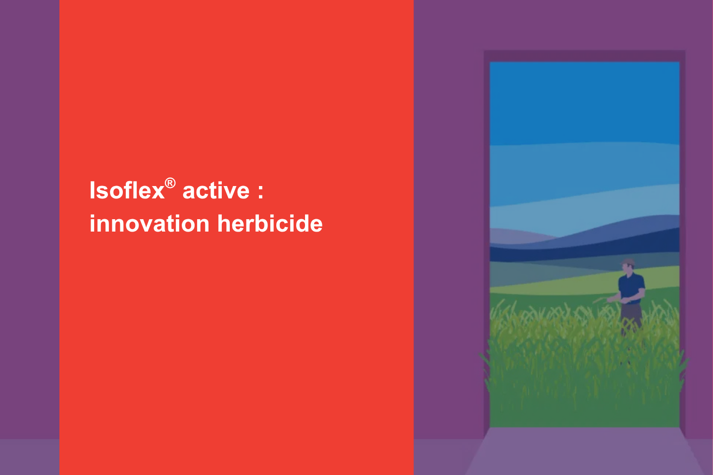 innovation isoflex