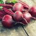 Beetroot