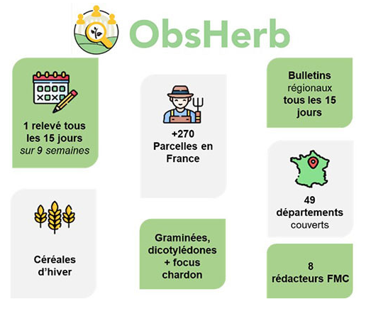 Obsherb_process_reseau_fmc